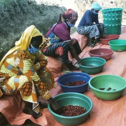 Pennine Rwanda Baho Intsinzi Natural Arabica Green Coffee Beans (1kg)