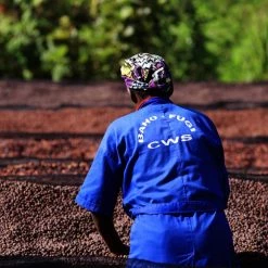 Pennine Rwanda Baho Intsinzi Natural Arabica Green Coffee Beans (1kg)