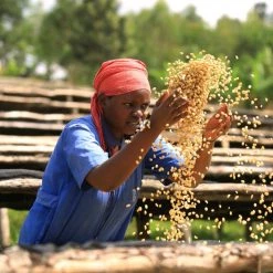 Pennine Rwanda Baho Intsinzi Natural Arabica Green Coffee Beans (1kg)