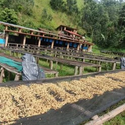 Pennine Rwanda Baho Intsinzi Natural Arabica Green Coffee Beans (1kg)