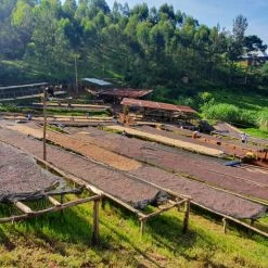 Pennine Rwanda Baho Intsinzi Natural Arabica Green Coffee Beans (1kg)