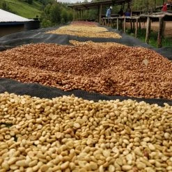 Pennine Rwanda Baho Intsinzi Natural Arabica Green Coffee Beans (1kg)