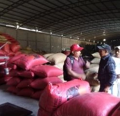 Pennine Tea And Coffee Mexico Maragogype Washed Arabica Green Coffee Beans (1kg)