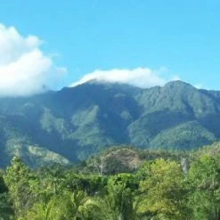 Pennine Honduras SHG Miguel Angel Paz Natural Arabica Green Coffee Beans (1kg)