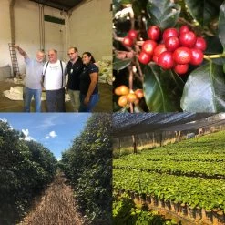 Pennine Brazil Controlled Fermentation Fazenda Inhame Arabica Green Coffee Beans (1kg)