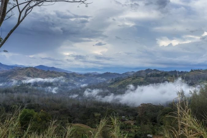 Pennine Papua New Guinea Peaberry Arabica Green Coffee Beans (1kg) 10 Pennine Papua New Guinea Peaberry Arabica Green Coffee Beans (1kg)