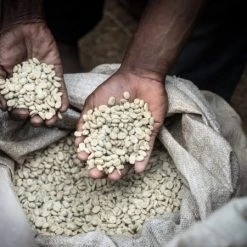 Pennine Papua New Guinea Peaberry Arabica Green Coffee Beans (1kg) 20 Pennine Papua New Guinea Peaberry Arabica Green Coffee Beans (1kg)