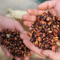 Pennine Colombian Munchique Los Tigres Washed Arabica Green Coffee Beans (1kg)