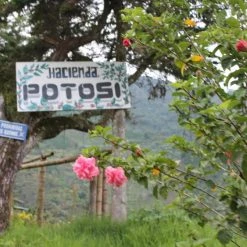 Pennine China Yunnan AA Washed Arabica Green Coffee Beans (1kg)