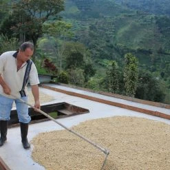 Pennine China Yunnan AA Washed Arabica Green Coffee Beans (1kg)