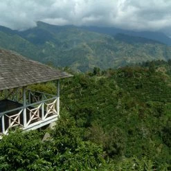 Pennine Jamaican Blue Mountain Grade 1 Arabica Green Coffee Beans (1kg