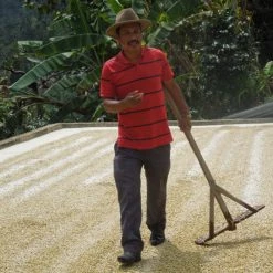 Pennine Green Coffee Guatemala Finca La Florida - Sierrra De Las Minas Pacamara Washed Arabica (1kg)