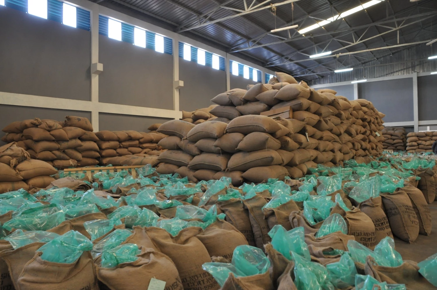 White Rose Coffee Roasters Ethiopian Yirgacheffe Natural Tadese Teko Arabica Roasted Coffee 8 White Rose Coffee Roasters Ethiopian Yirgacheffe Natural Tadese Teko Arabica Roasted Coffee