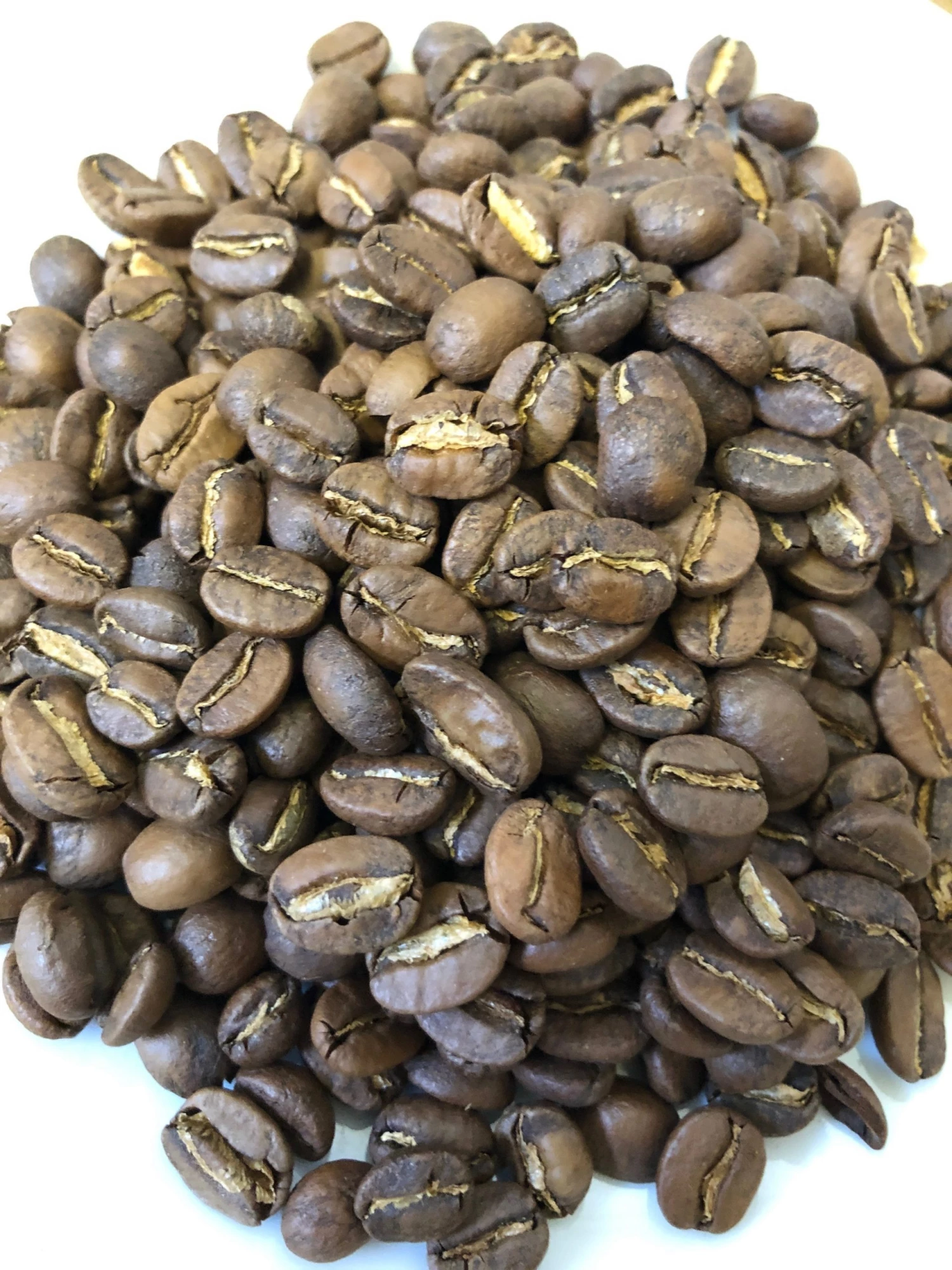 White Rose Coffee Roasters Mexico Siltepec El Jaguar Washed Arabica Roasted Coffee 4 White Rose Coffee Roasters Mexico Siltepec El Jaguar Washed Arabica Roasted Coffee