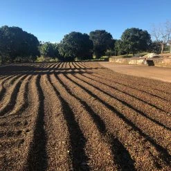 Pennine Tea And Coffee Peru BluePrint Enrique Vasquez Zamora Washed Arabica Green Coffee Beans (1kg) 14 Pennine Tea And Coffee Peru BluePrint Enrique Vasquez Zamora Washed Arabica Green Coffee Beans (1kg)