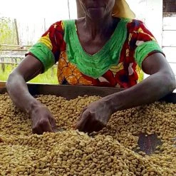 Pennine Congo Kivu 4 Arabica Washed Green Coffee Beans (1kg)