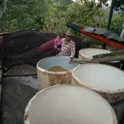 Pennine El Salvador RFA Tapantgusto Washed Arabica Green Coffee Beans (1kg)