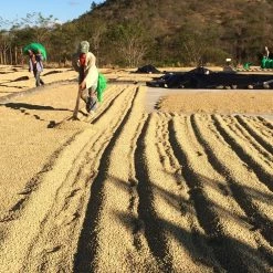 Pennine Nicaragua La Tormenta Washed Arabica Green Coffee Beans (1kg)
