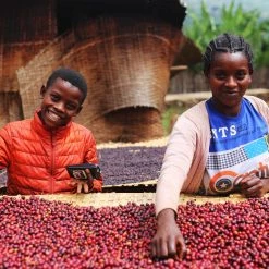 Pennine Ethiopian Yirgacheffe Natural Tadese Teko Arabica Green Coffee Beans (1kg)
