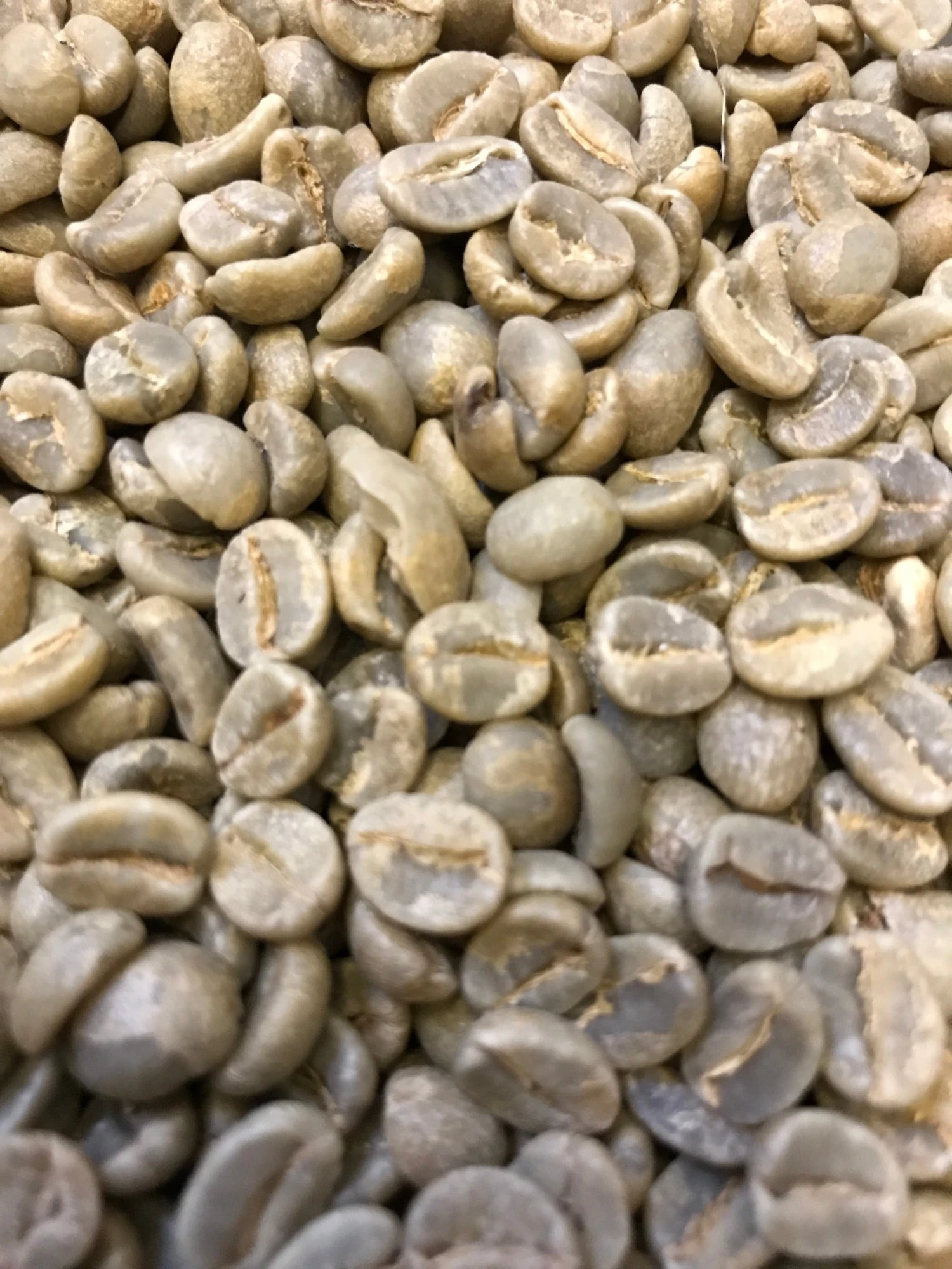 Pennine Tanzania AB Unwashed Arabica Green Coffee Beans (1kg) 7 Pennine Tanzania AB Unwashed Arabica Green Coffee Beans (1kg)