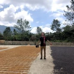 Pennine Tea And Coffee Mexico Muxbal Washed Arabica Green Coffee Beans (1kg)