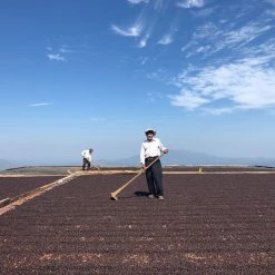 White Rose Coffee Roasters El Salvador Arabica Roasted Coffee 16 White Rose Coffee Roasters El Salvador Arabica Roasted Coffee