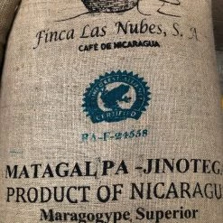 Pennine Nicaraguan Maragogype Green Coffee Beans (1kg)