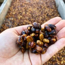 Pennine El Salvador RFA Tapantgusto Washed Arabica Green Coffee Beans (1kg)