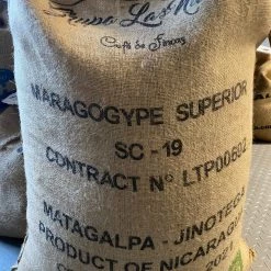 Pennine Nicaraguan Maragogype Green Coffee Beans (1kg)
