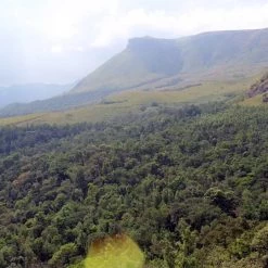 Pennine India Ratnagiri Anaerobic Natural Arabica Green Coffee Beans (1kg)