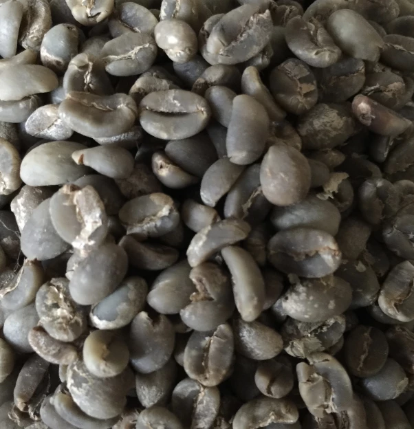 Pennine Sumatra Mandheling G1 Arabica Green Coffee Beans (1kg) 4 Pennine Sumatra Mandheling G1 Arabica Green Coffee Beans (1kg)