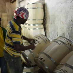 Pennine Jamaican Blue Mountain Grade 1 Arabica Green Coffee Beans (1kg