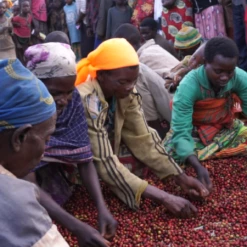 Pennine Burundi Fully Washed Arabica Green Coffee Beans (1kg)