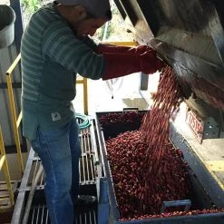 Pennine Tea And Coffee Costa Rica Washed Arabica Cafe Don Claudio Green Coffee Beans (1kg) 15 Pennine Tea And Coffee Costa Rica Washed Arabica Cafe Don Claudio Green Coffee Beans (1kg)