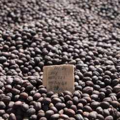 Pennine Burundi Fully Washed Arabica Green Coffee Beans (1kg)
