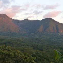 Pennine Nicaragua La Tormenta Washed Arabica Green Coffee Beans (1kg)