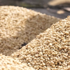 Pennine Burundi Fully Washed Arabica Green Coffee Beans (1kg)