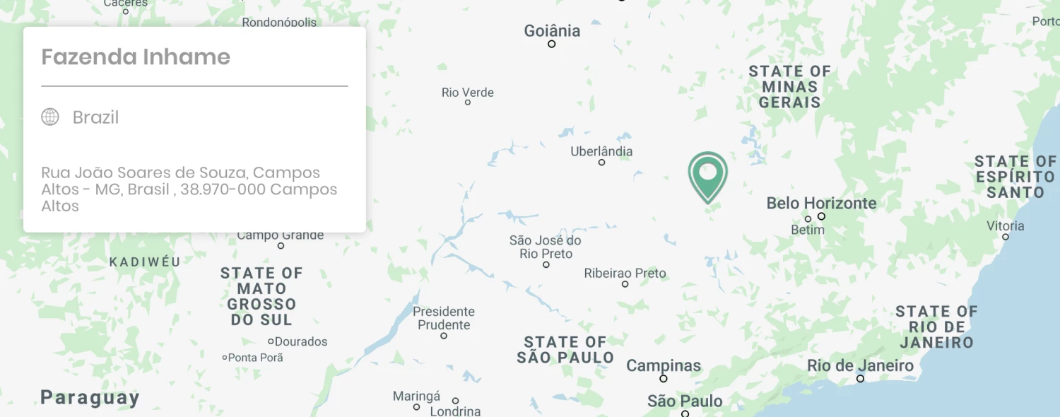 Pennine Brazil Peaberry Fazenda Inhame Arabica Green Coffee Beans (1kg) 4 Pennine Brazil Peaberry Fazenda Inhame Arabica Green Coffee Beans (1kg)