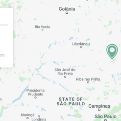 Pennine Brazil Controlled Fermentation Fazenda Inhame Arabica Green Coffee Beans (1kg)