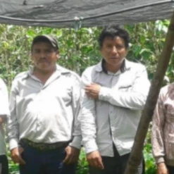 Pennine Tea And Coffee Mexico Maragogype Washed Arabica Green Coffee Beans (1kg)