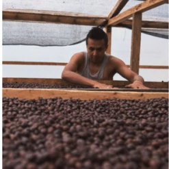 Pennine Tea And Coffee Ecuador Washed Strictly High Grown Arabica Green Coffee Beans (1kg)