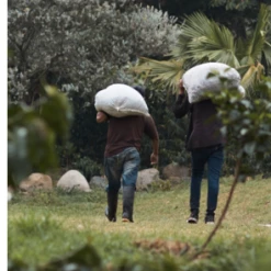 Pennine Tea And Coffee Ecuador Washed Strictly High Grown Arabica Green Coffee Beans (1kg)