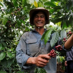 Pennine Vietnam Robusta Wet Polished (1kg)