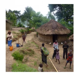 Pennine Congo Kivu 4 Arabica Washed Green Coffee Beans (1kg)