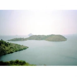 Pennine Congo Kivu 4 Arabica Washed Green Coffee Beans (1kg)