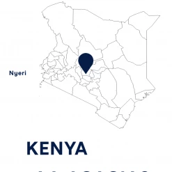 Pennine Kenya AA Acacias Arabica Washed Green Coffee Beans (1kg) 15 Pennine Kenya AA Acacias Arabica Washed Green Coffee Beans (1kg)