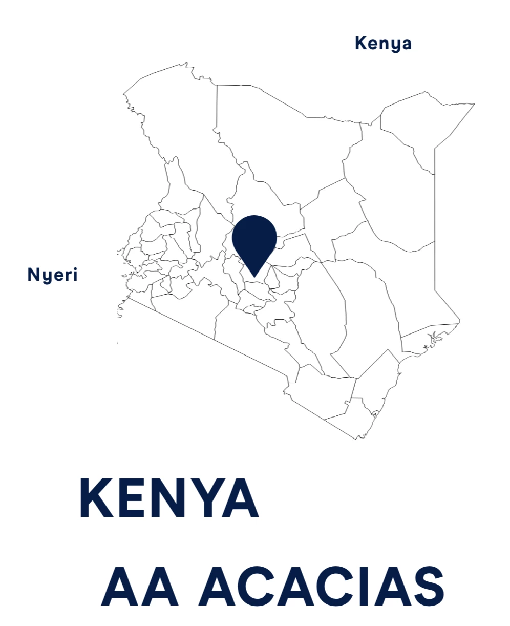 Pennine Kenya AA Acacias Arabica Washed Green Coffee Beans (1kg) 9 Pennine Kenya AA Acacias Arabica Washed Green Coffee Beans (1kg)