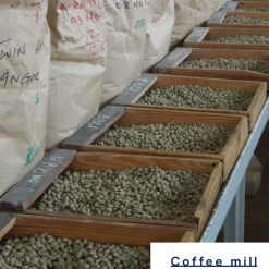 Pennine Kenya Peaberry Washed Arabica Green Coffee Beans (1kg) 13 Pennine Kenya Peaberry Washed Arabica Green Coffee Beans (1kg)