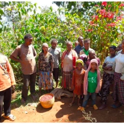 Pennine Ethiopian Yirgacheffe Natural Tadese Teko Arabica Green Coffee Beans (1kg)