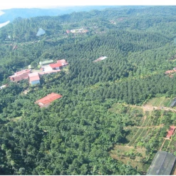 Pennine Guatemala Erika Sanchez Green Coffee Beans Washed Arabica (1kg)